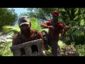 Beginning of video