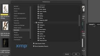 Adobe Bridge Preferences screenshot 5