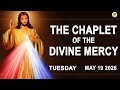 Chaplet Of The Divine Mercy I Tuesday May 19 2026 I Daily Divine Mercy Prayer