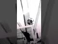 Blue lock edit -Montagem do Batidăo Viciante (isagi) #youtube #short # #edit #football