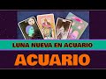 🌙 Luna Nueva en Acuario: ACUARIO