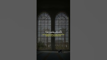 سورة آل عمران #قرآن #راحة_نفسية