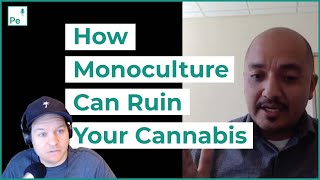 Pe193 The Fears of Cannabis Monocropping