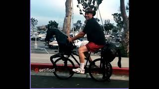 Epic Bicycle Bloopers | Fails Compilation | Certified Viral Fails