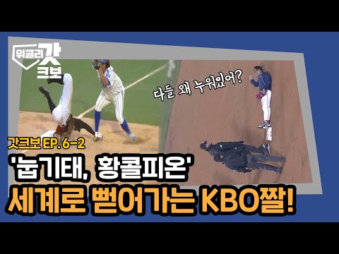 &amp;#39;<strong>눕기태</strong>, 황콜피온&amp;#39; 세계로 뻗어가는 KBO짤! | 위클리갓크보 EP.6-2