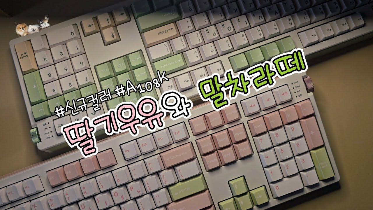 이벤트❤️‍🔥 몰컴가능한데 쫀득한 키감 본적 있나요?! 여기있습니다 앱코 A108K 신규컬러도 구경하세요