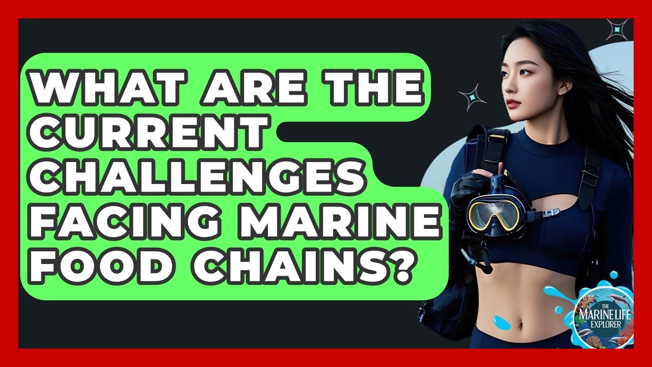 What Are The Current Challenges Facing Marine Food Chains? - The Marine Life Explorer