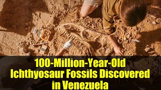 100-Million-Year-Old Ichthyosaur Fossils Discovered in Venezuela | Cretaceous Marine Discovery