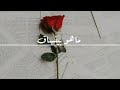 شيلة ياصاحبي لو الامور بيدينا شيلة ياصاحبي لو الامور بيدينا