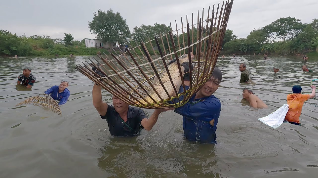 Nơm cá chép khủng hưng hugo