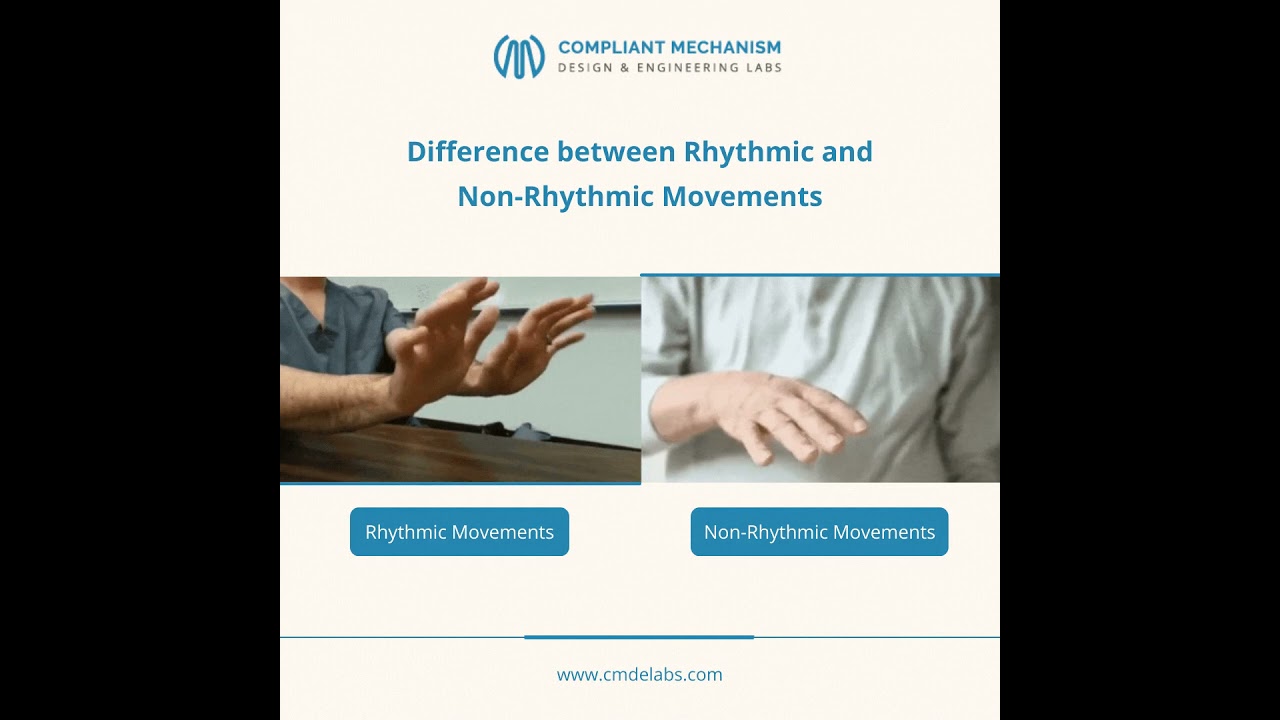 Difference between rhythmic and non-rhythmic movements