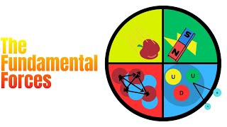The Universal Four: The Fundamental forces
