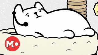 Cat Agent - Red Carpet Purrmiere S2 E1