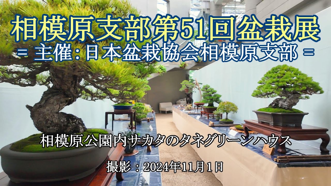 hq720.jpg?sqp=-