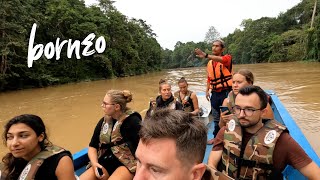3 DAYS ON THE KINABATANGAN RIVER 🇲🇾 BORNEO (MALAYSIA)