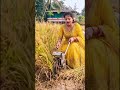 dhan कोटिंग ka macine #fun #farming #motivation