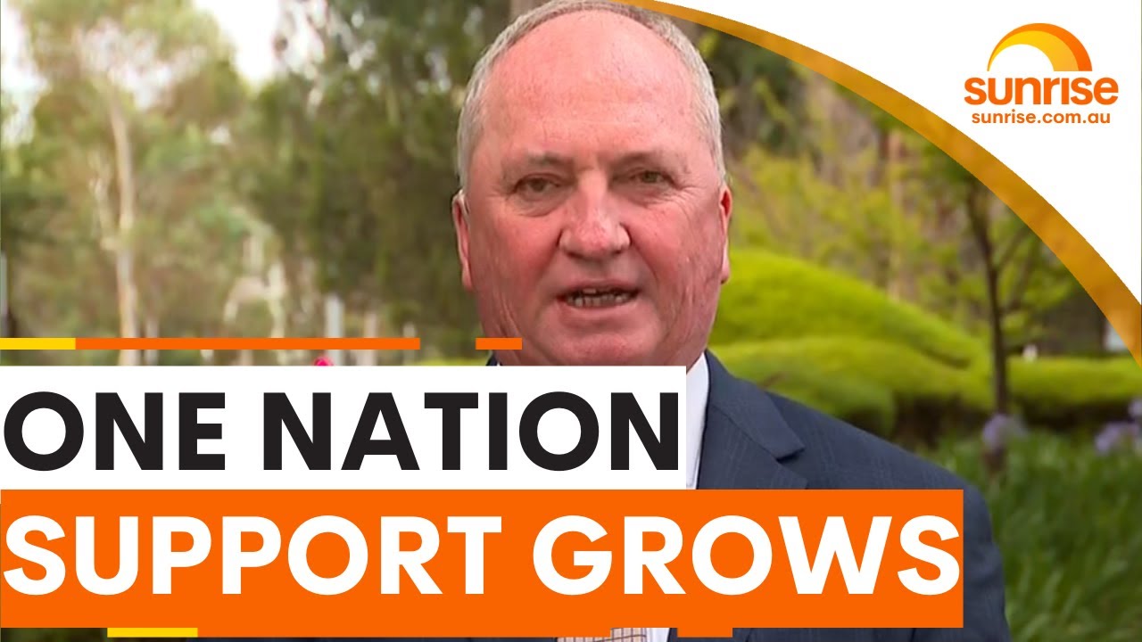 One Nation party overtakes Coalition in latest Newspoll result | Sunrise