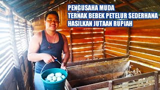 kandang bebek petelur sederhana ini bisa hasilkan jutaan rupiah tiap minggunya