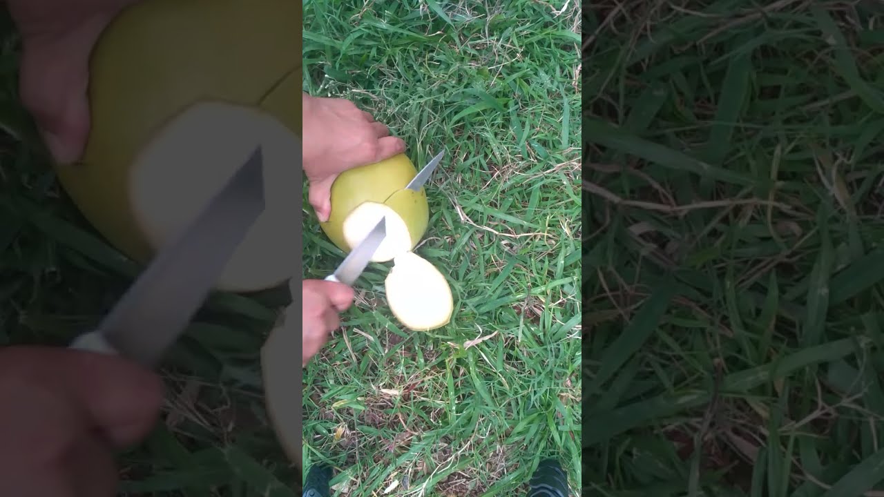Amazing fast coconut cutting skills