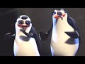 DreamWorks Madagascar Penguins Of Madagascar Pitbull Celebrate Music Video Kids Movies 