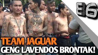 Geng lavendors brontak saat di tangkap tim jaguar