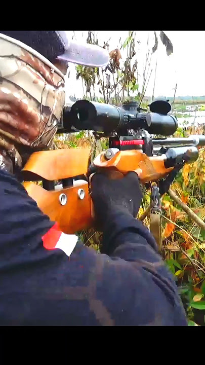 Menembak berburu burung liar di air bebek liar