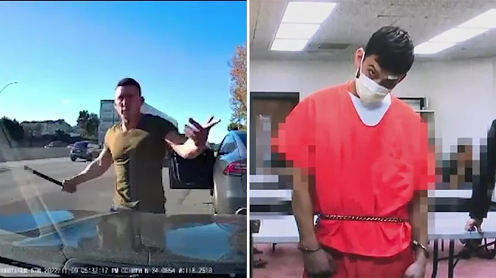 Tesla road-rage driver's victims speak out on his recent Hawaii arrest