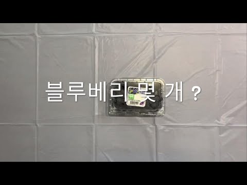 블루베리 세어보기 - 블루베리 1팩에는 블루베리가 몇 개 들어있을까?