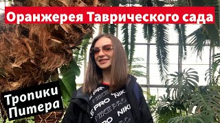 Оранжерея таврического сада - идеальная локация для фотографов | Сходи Посмотри Санкт-Петербург