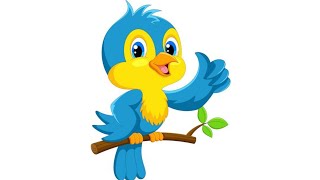 How to coloring cute birds 🐦 step by step, coloring for kids, kids learning, drawing