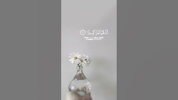 سورة الإسراء | القارئ : ناصر القطامي
