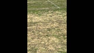 Download Lagu Sunday 1 MP3