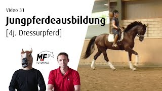 [31] 4j. Dressurpferd „Bodo“ | Jungpferdeausbildung | live kommentiert