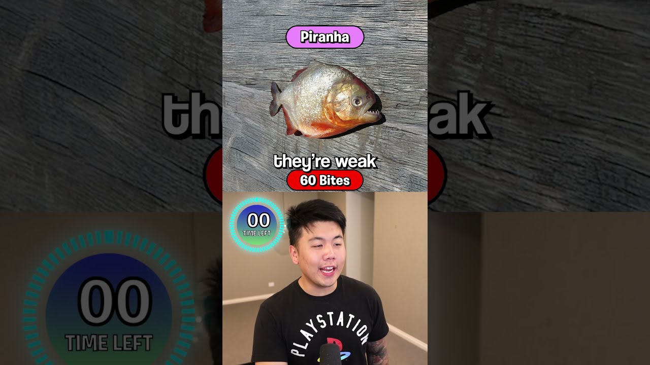 How Many Bites Will Kill You 4