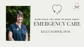 Everything You Need To Know About Emergency Care In Dogs