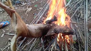 Masak Satu Ekor Rwanjing