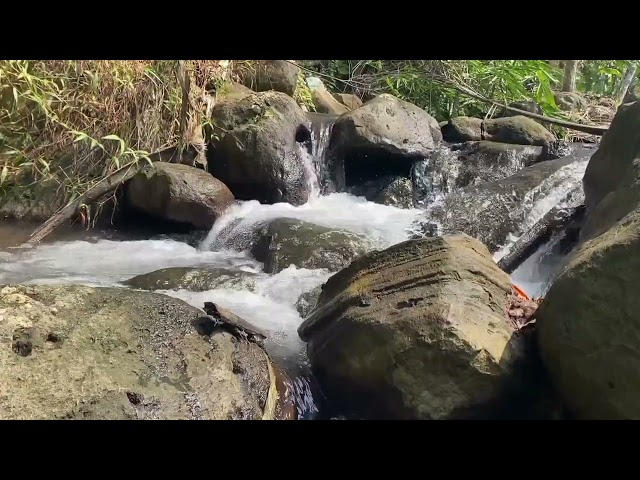 Relaxing River Flow ASMR | Calm Water Sounds to Unwind