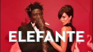 NK - ELEFANTE