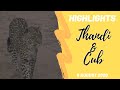 Highlights - Thandi and Cub 6 August 2020