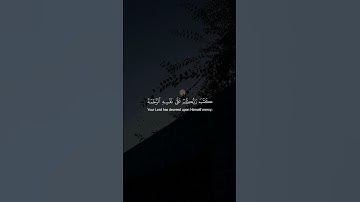 سورة الأنعام - الآية 54 - تلاوة ناصر القطامي