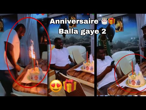 🎂🎁😍😍 Anniversaire 🎁  Balla gaye 2 le lion de guediawaye