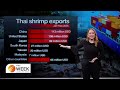 Thai shrimp exports in limbo after Malaysia ban