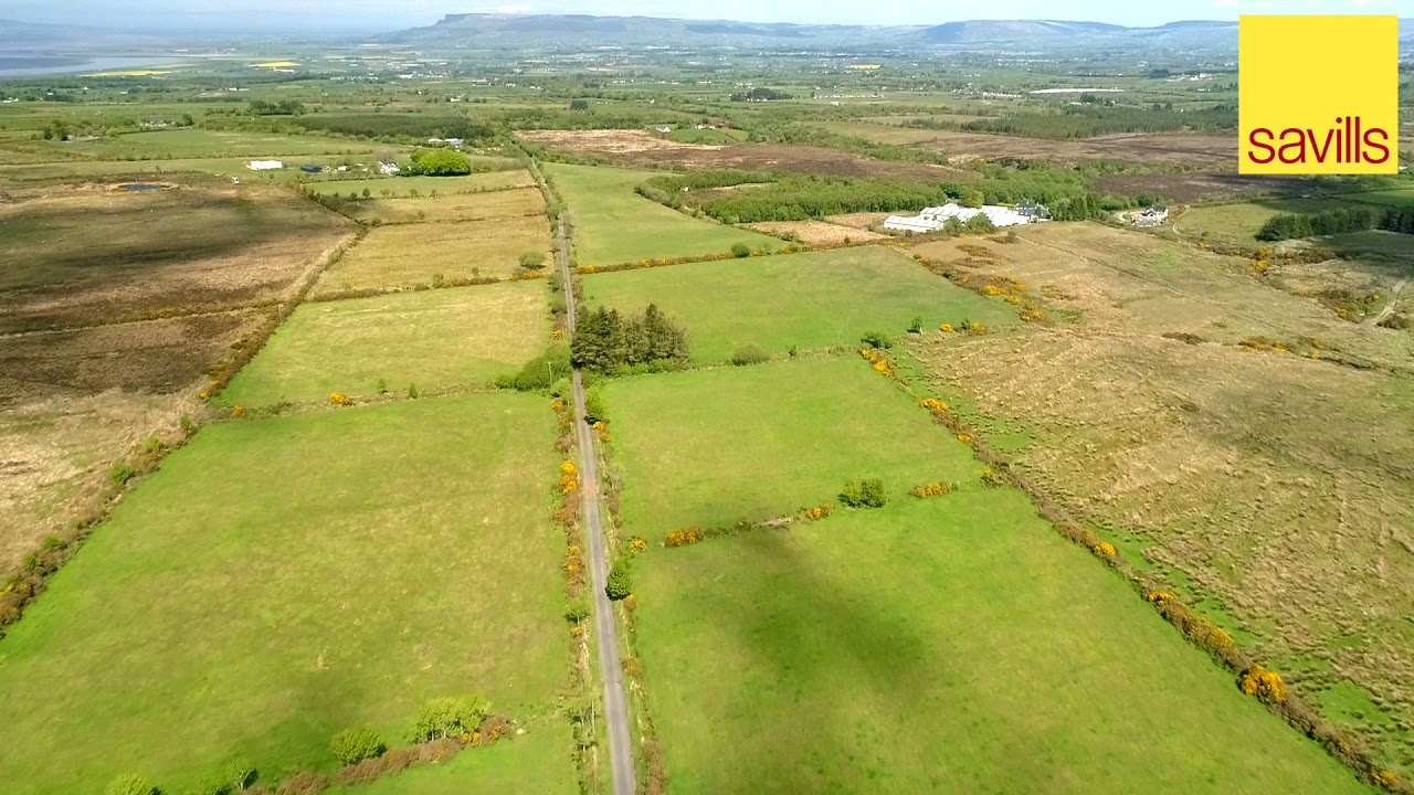 478-acre ring-fenced suckler and sheep farm for sale