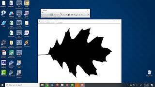 How to use ImageJ for Measuring Leaf Area and Perimeter screenshot 4