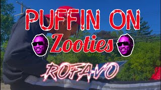 Future-Puffin on zooties (Dance video Rofavo)