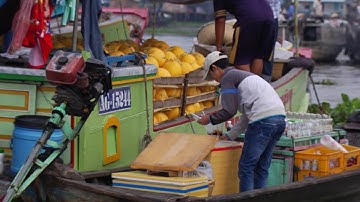 TRẢI NGHIỆM CHỢ NỔI CÁI BÈ - TẾT MIỆT VƯỜN