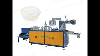 High quality Automatic Disposable Plastic Cup/Bowl/Lid Thermoforming Machine Price Profile