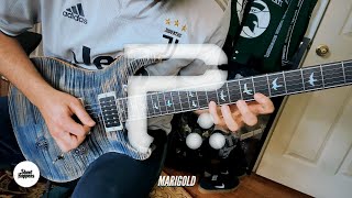Marigold - Periphery (Guitar Cover) - PRS Custom 24 30th