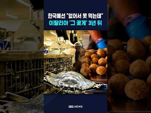 한국에선 "없어서 못 먹는데"..이탈리아 '그 <strong>꽃게</strong>' 3년 뒤  / SBS / #shorts