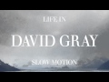 David Gray Alibi Official Audio David Gray Alibi Official Audio